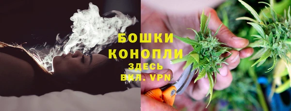 эйфоретик Арсеньев