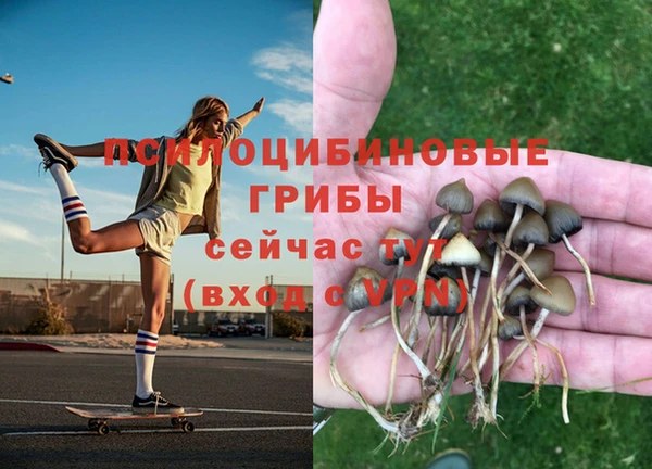 сатива Армянск