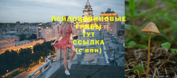 эйфоретик Арсеньев