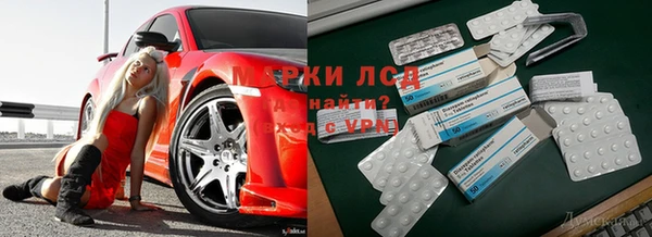 сатива Армянск